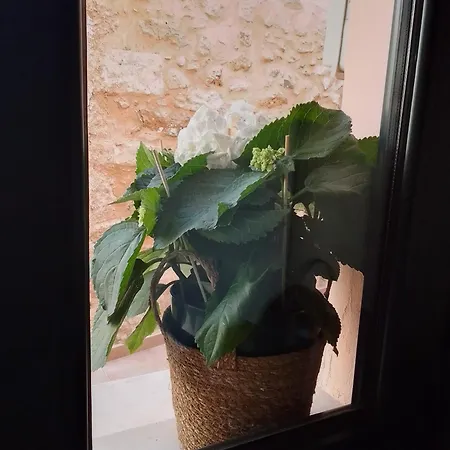 Holiday home Creta In Center 1 Heraklion (Crete)